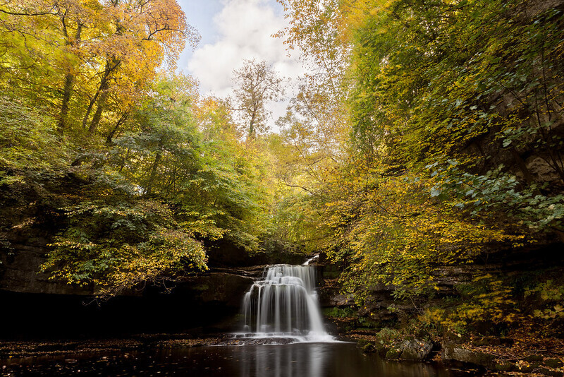 Cauldren Force - Autumn - Yorkshire Dales