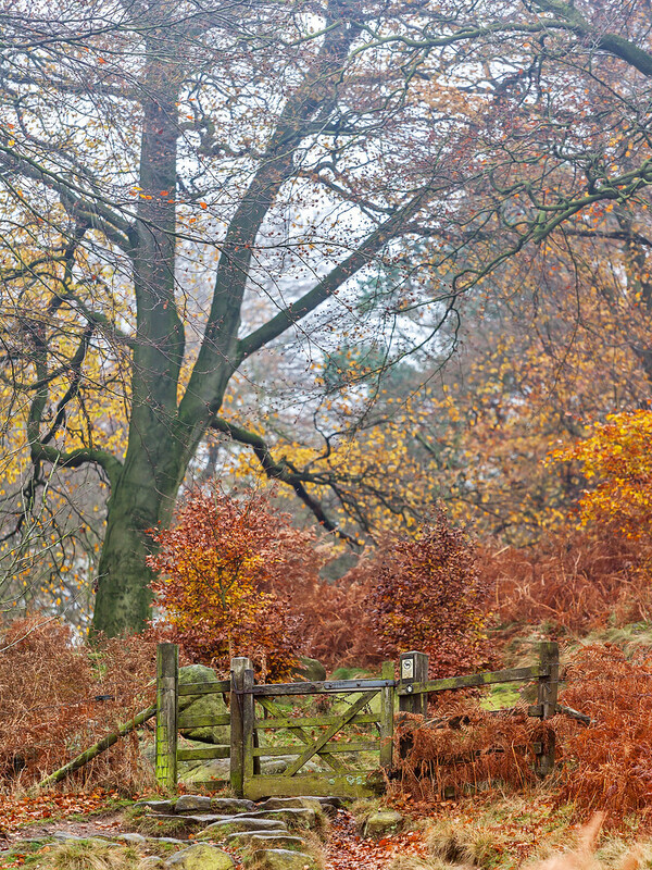 Autumn - Peak District