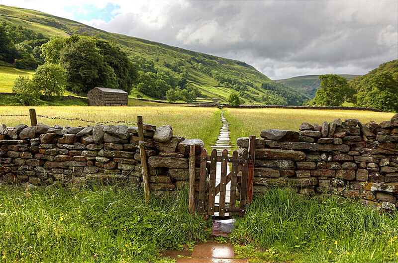 Wildflowers - Muker - Yorkshire Dales