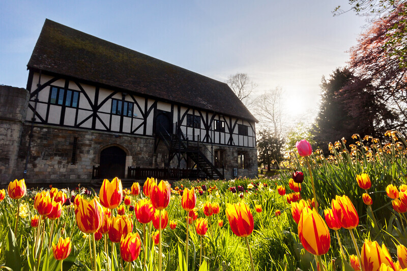 Museum Gardens - York