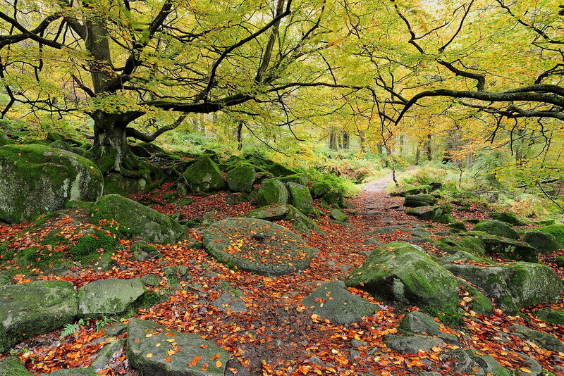 Padley Millstone - Peak District