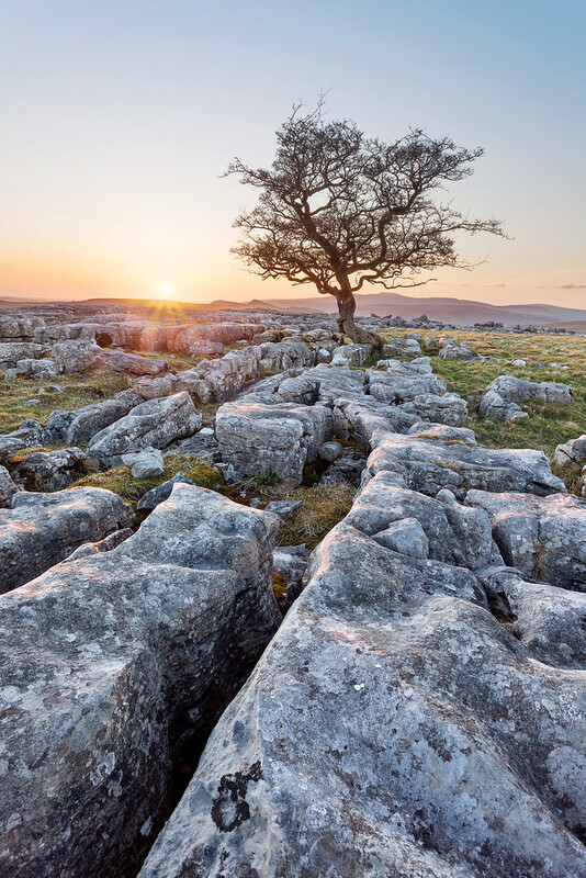 The Tree Winskill - Yorkshire Dales