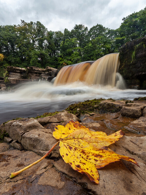 A Chance Encounter With Autumn - Richmond