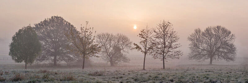 Knavesmire Frost - Panoramas