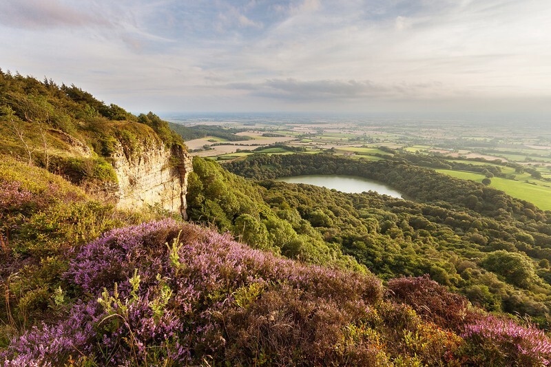 Sutton Heather - North York Moors