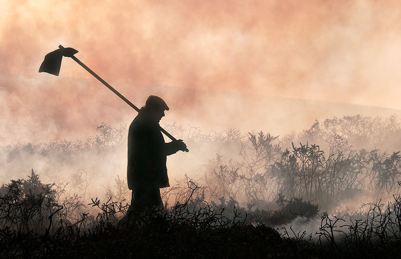 Burning the gorse (swaling), Dartmoor, Devon