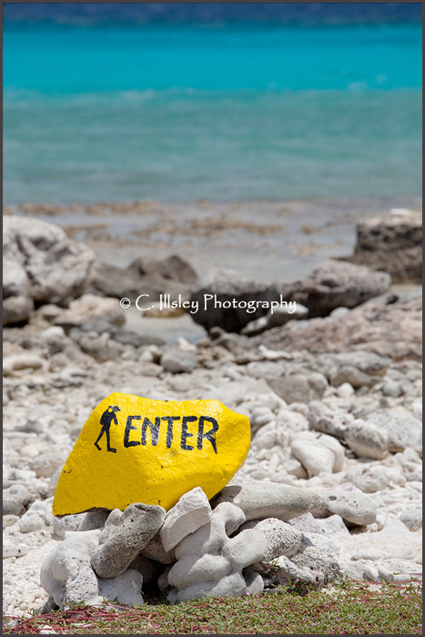 The Perfect Dive Site, Bonaire - Dream Destinations