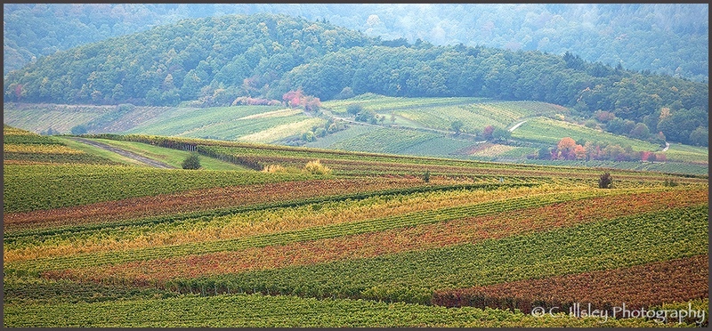 Patchwork Quilt - Landscapes