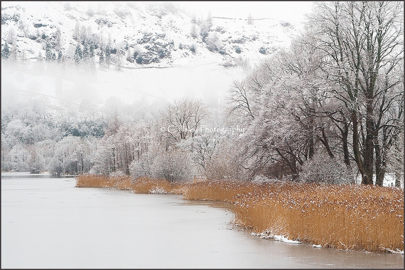 In the Grip of Winter - Waterscapes
