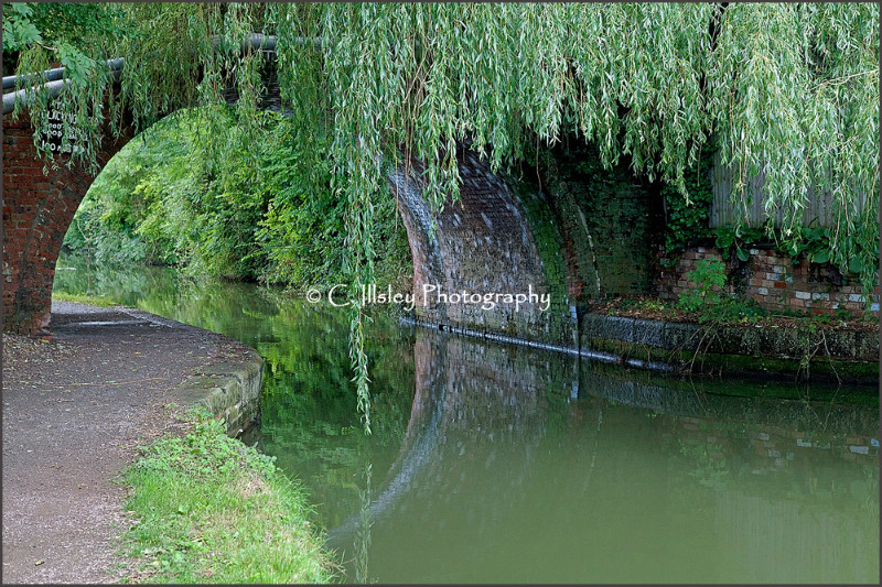 Under the Bridge - Waterscapes