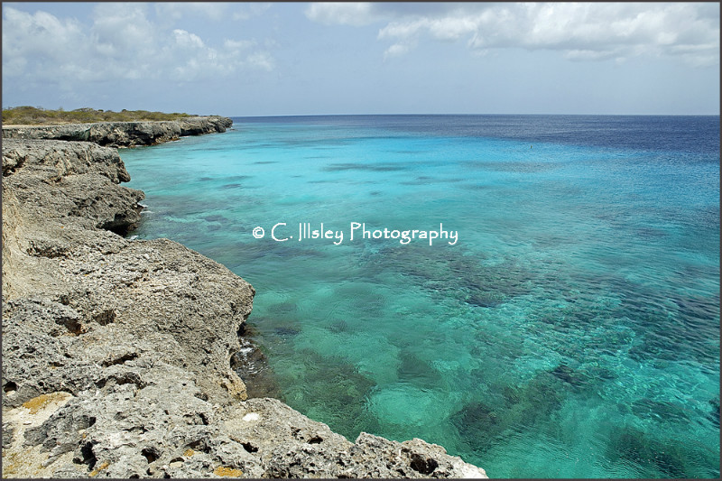 'Bise Morto' Dive Site, Bonaire - Dream Destinations