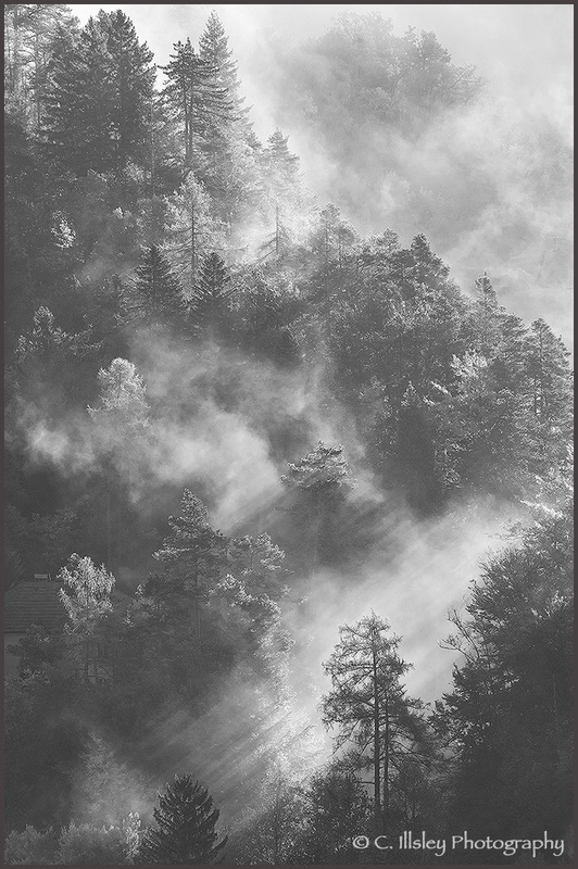 As the Mist Clears - Landscapes