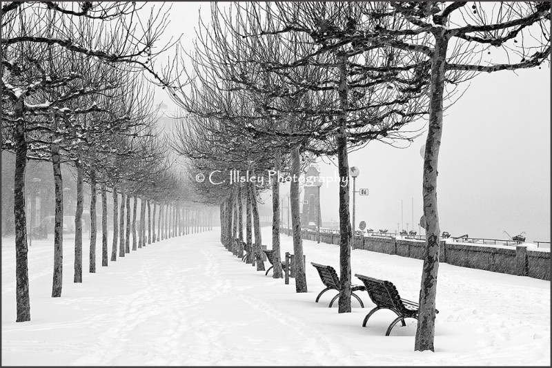 Along the Promenade 2 - Düsseldorf