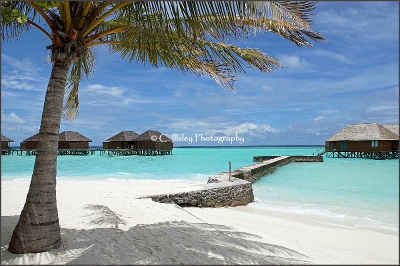 Beach Scene 1, the Maldives - Dream Destinations
