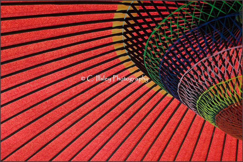 Japanese Parasol - Abstracts