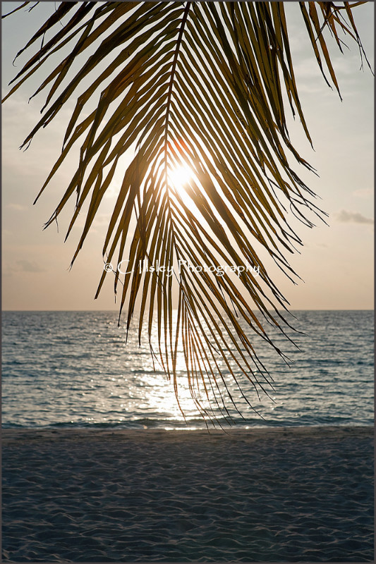 Sunset Mood 1, the Maldives - Dream Destinations