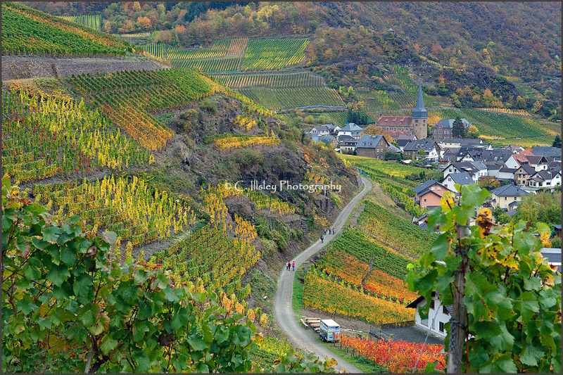 Mayschoss - Germany