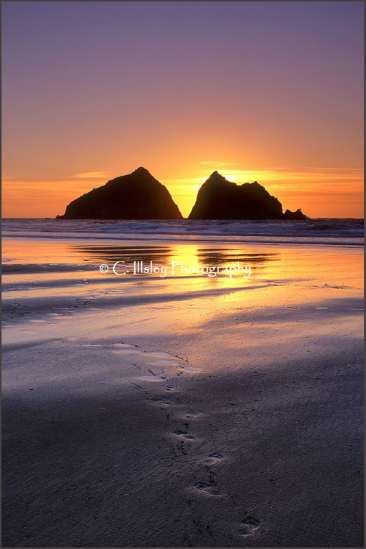 Footprints in the Sand - Waterscapes