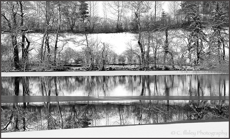 Natural Barcode - Landscapes