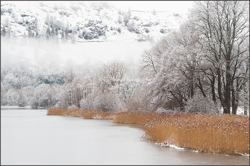 Winterliche Stille - Wasserlandschaften