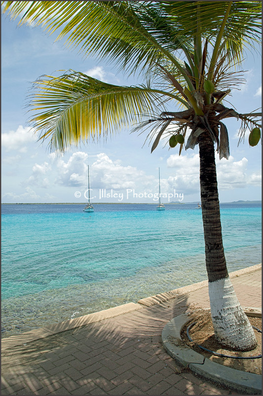 Die Promenade in Kralendijk, Bonaire - Traumziele
