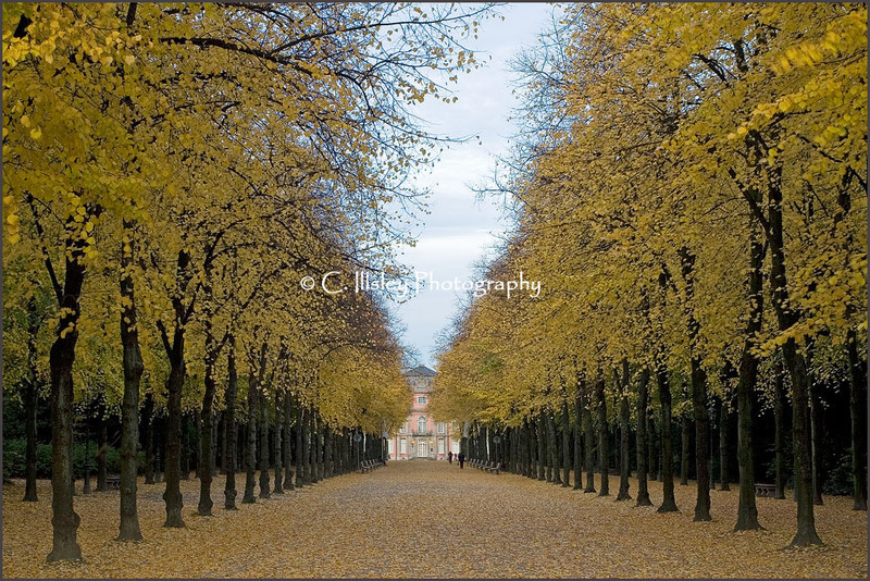 Herbstlicher Hofgarten - Düsseldorf
