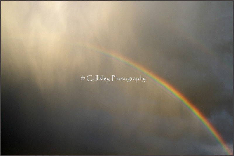 Regen und Regenbögen - Wie die Zeit vergeht