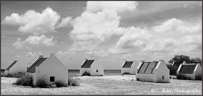 'White Slave'-Tauchplatz, Bonaire - Landschaften