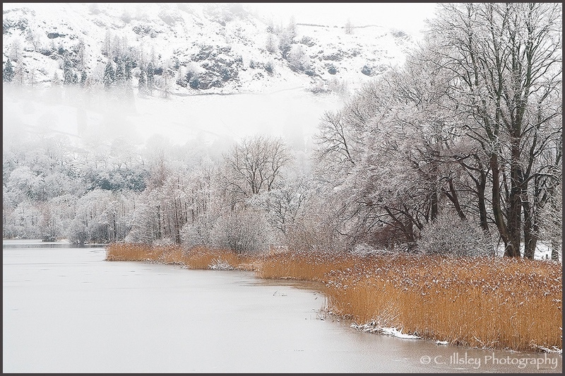 Winterliche Stille - Landschaften