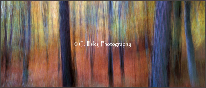 Herbstwald - Abstrakte Bilder