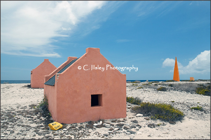 Tauchplatz 'Red Slave', Bonaire - Traumziele