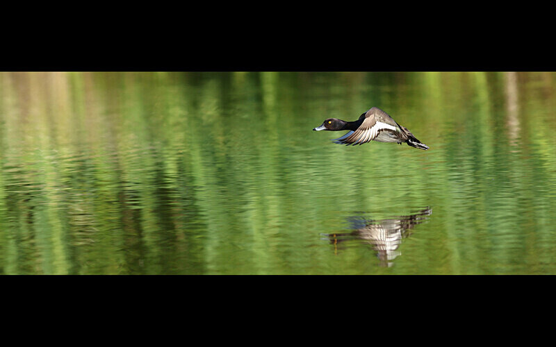 =2nd Place (Digital) - Competition 5 'Open'