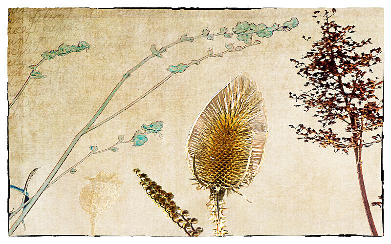  - Themed Subject 2 - Still Life and Creativity