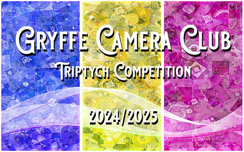  - Triptych Digital Panel Competition