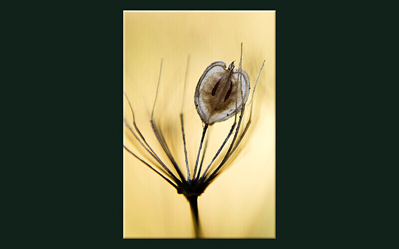 =3rd Place (Digital) - Competition 5 'Open'