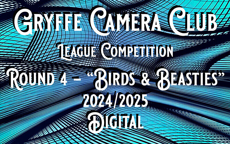  - Competition 4 - BIRDS & BEASTIES