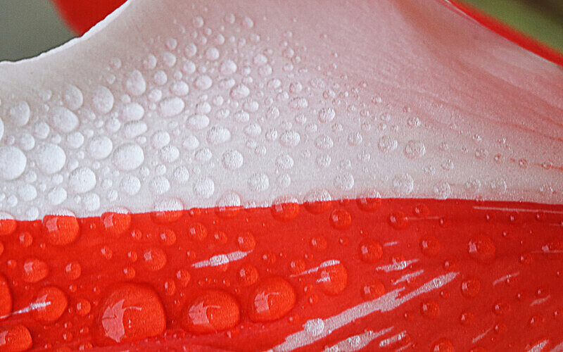  - Themed Subject 1 - Minimalist and Transport Photos