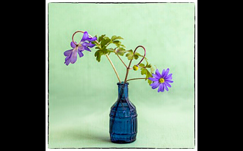  - Themed Subject 2 - Flowers and Trees