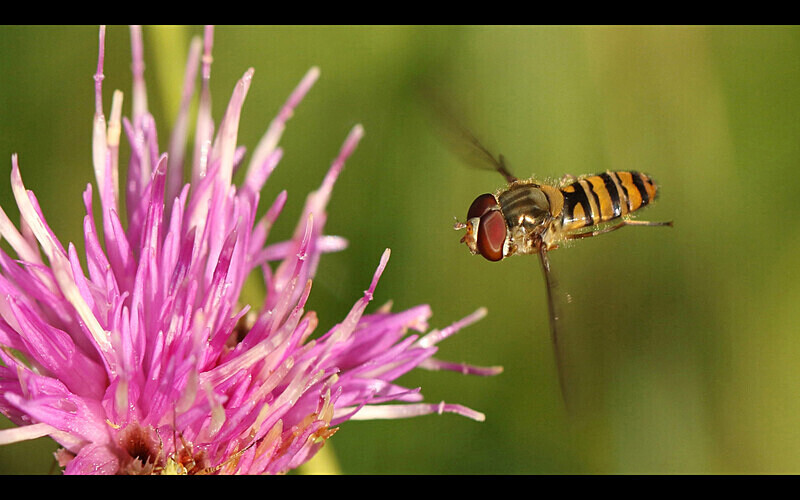 =3rd Place (Digital) - Competition 3b 'Open'