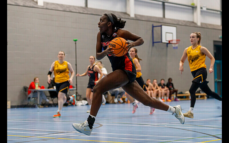 =3rd Place (Digital) - Competition 3b 'Open'