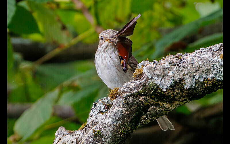 =3rd Place (Digital) - Competition 5 'Open'