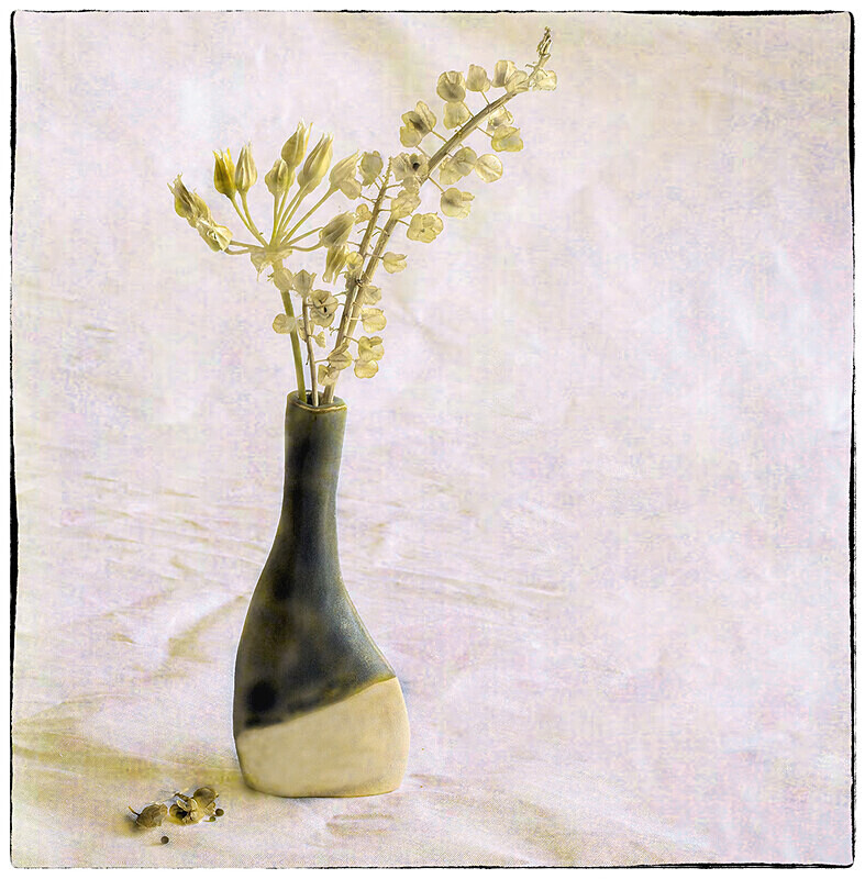 Seedheads in Grey Vase - Kate Cummings