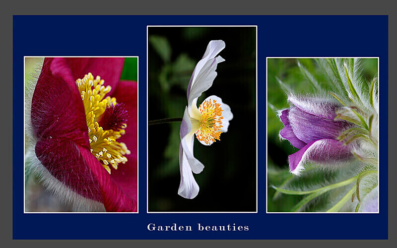 2nd Place - Triptych Digital Panel Competition