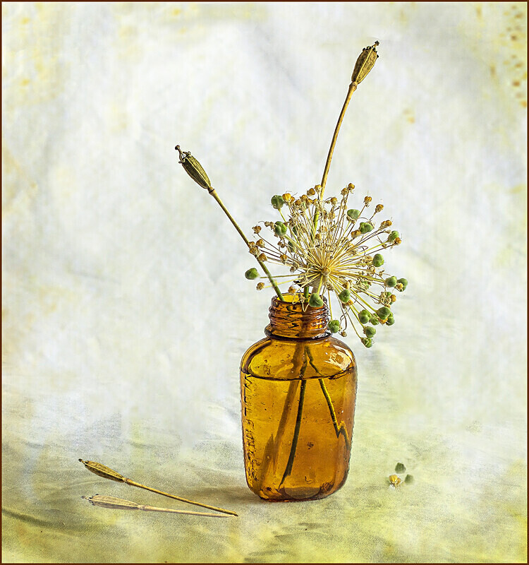 Seedheads in Brown bottle - Kate Cummings