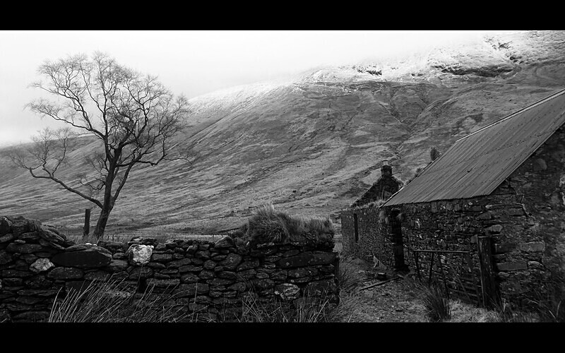 2nd Place (Digital) - Competition 2 'Scapes'