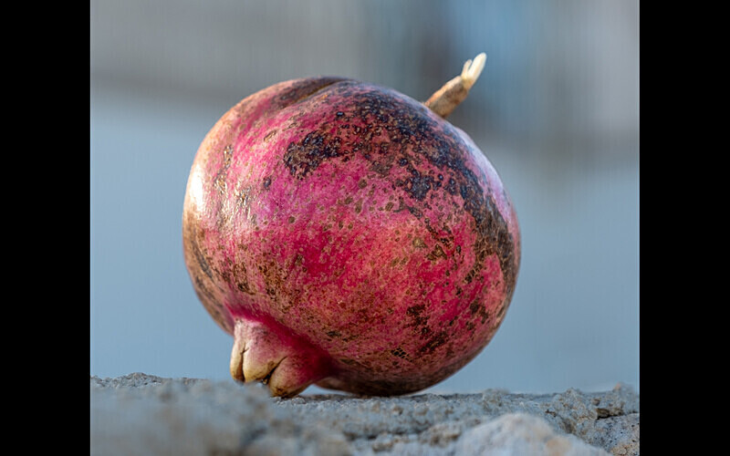  - Themed Subject 2 - Still Life and Creativity