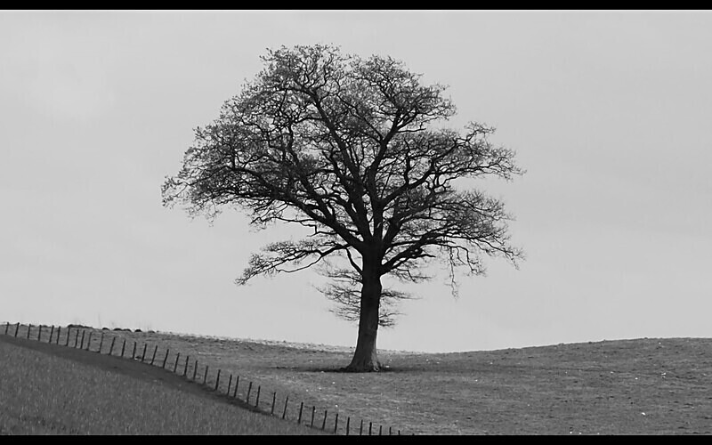  - Themed Subject 1 - Minimalist and Transport Photos