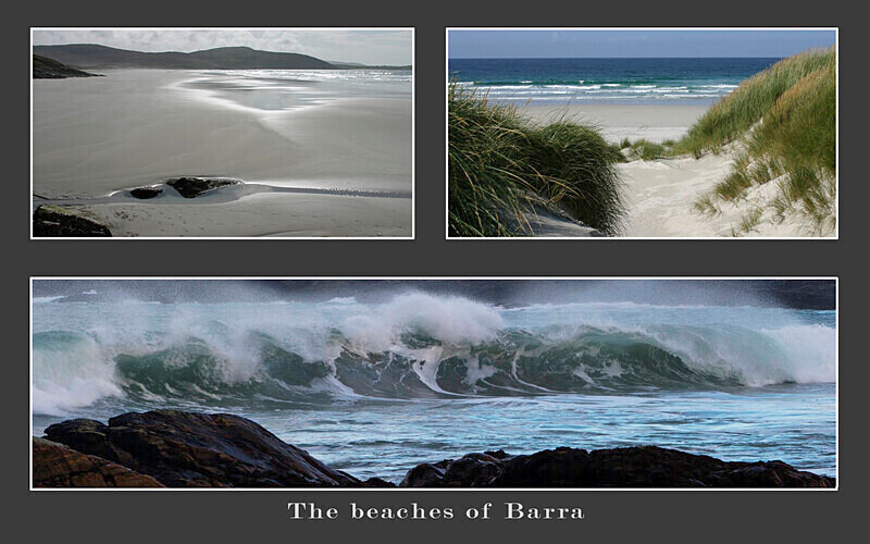 1st Place - Triptych Digital Panel Competition