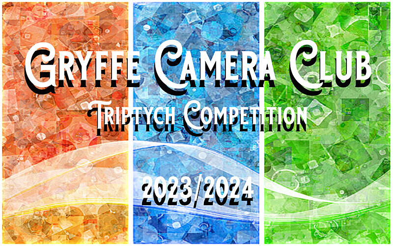  - Triptych Digital Panel Competition