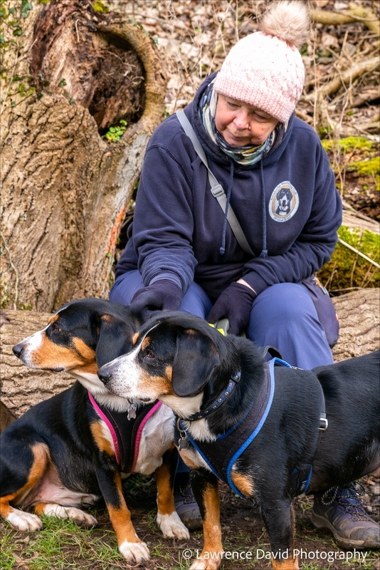 Lynn Salvo and Izzy at Wolfscote Dale - Entlebucher Sennenhund Mountain Dogs